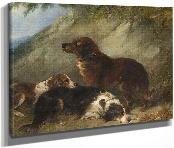 Dogs By George Armfield