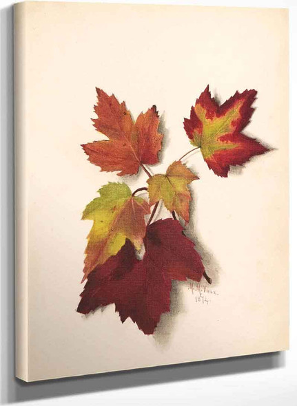 Autumn Leaves By Mary Vaux Walcott