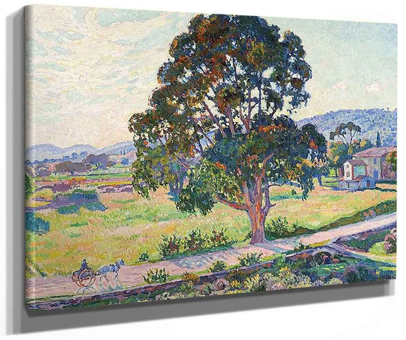 The Eucalyptus Tree On Road To Bormes By Theo Van Rysselberghe