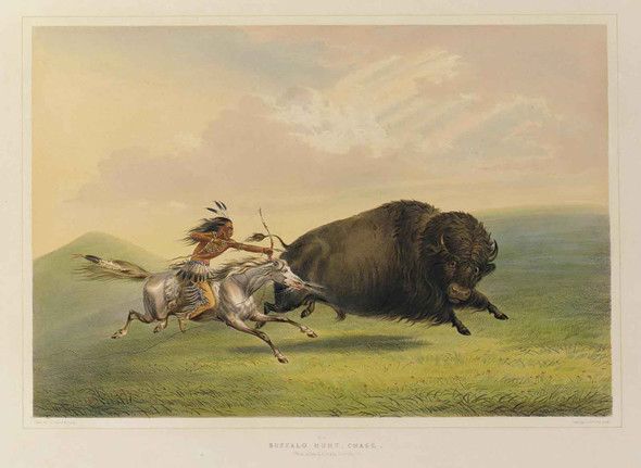 north american hunting