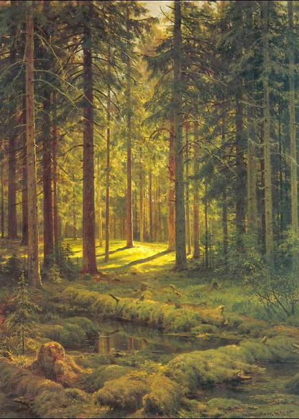 Coniferous Forest On A Sunny Day By Ivan Ivanovich Shishkin