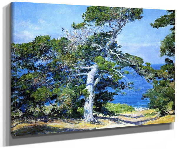 A Carmel Pine By Guy Orlando Rose