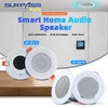 Smart Home Music System 2.8 Inch Bluetooth Wall Amplifier FM Radio Mini Music Panel Stereo Full-range Ceiling Speaker Audio Kit