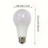 Lightbulb Diversion Safe Hidden Secret Compartment Hide Money Hide Jewelry Hide Small Items Storage Realististic Light Bulb