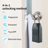 Smart Fingerprint Lock Key Box with Tuya Remote Unlock Password Unlock Portable Multi-Application Scene Waterproof Key Safe