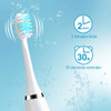 Sonic Electric Toothbrush for Men and Women Adult Household USB Rechargeable IPX7 Waterproof Tooth Whitening Oral Care