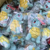 10PC/lot Pokemon Squirtle Charmander Pikachus Plush Doll 12cm Pendant Stuffed Bulbasaur Pendant Keychain Plush Gift Toy
