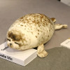 Soft 75cm Sea Lion Plush Toys Sea World Animal Stuffed 3D Simulation Seal Pillow Sofa Bed Decoration Cushion Nice Birthday Gift Soft 75cm Sea Lion Plush Toys Sea World Animal Stuffed 3D Simulation Seal Pillow Sofa Bed Decoration Cushion Nice Birthday Gift