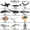 2022 Sea Marine Animals Dolphin Crab Shark Turtle Model Action Figure Figurines Ocean Marine Aquarium Education toy for Children