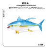 2022 Sea Marine Animals Dolphin Crab Shark Turtle Model Action Figure Figurines Ocean Marine Aquarium Education toy for Children