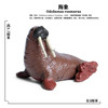 2022 Sea Marine Animals Dolphin Crab Shark Turtle Model Action Figure Figurines Ocean Marine Aquarium Education toy for Children