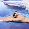 Realistic Plastic Growth Cycle Penguin Figurines Varieties of Penguins Polar Arctic Animal Figures Easter Eggs Cake Toppers Gift