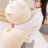 Sumikkogurashi Plush Doll Cartoon Figure Cushion 28/60/90cm Dinosaur/Penguin/Cat/Bear Soft Pillow Gift For Home Kids