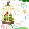 Singing&Chirping Bird In Cage Realistic Sounds&MovementsSinging Chirping Bird Toy In Cage Realistic Sounds Movements Activated