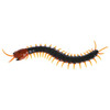 Remote Control Animal Centipede Creepy-crawly Prank Funny Toys Gift For Kids