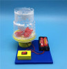 Science technology electrostatic electric snow elementary students creative manual materials experiment puzzle assembling toys