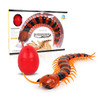 Rc Remote Control Centipede Tricky Creative Toy High Simulation Animal Model Electronic Puzzle Interactive Cat Amuses Children