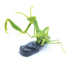 RC Toys Infrared RC Remote Control Realistic Mini Mantis Insect Scary Trick Toy Simulation Animal Funny Prank Gifts for Kids