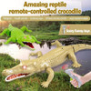 EBOYU IR RC Crocodile Simulative Remote Control Prank Crocodile Electric Animal Toy Funny Terrifying Christmas Kids Gift