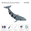 2.4G RC Shark Diving Simulation Whale Water Spray Swimming Bath Outdoor Electric Kids Toys Boy Underwater Remote Control Animals