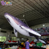 Factory Wholesale 3~12M Length Giant Inflatable Whale For Sale / 10 ft Inflatable Killer Whale Balloons - Toys