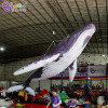 Factory Wholesale 3~12M Length Giant Inflatable Whale For Sale / 10 ft Inflatable Killer Whale Balloons - Toys