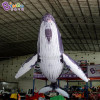 Factory Wholesale 3~12M Length Giant Inflatable Whale For Sale / 10 ft Inflatable Killer Whale Balloons - Toys