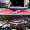 Factory Wholesale 3~12M Length Giant Inflatable Whale For Sale / 10 ft Inflatable Killer Whale Balloons - Toys