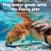 Children's Diving Toys Summer Shark Rocket Throwing Water Sports Children's Diving Toys Summer Shark Rocket Throwing Water Sports