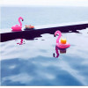 60 Pcs Inflatable Drinks Cup Toy Holder Pool Floats Bar Coasters Floatation Devices Children Bath Toy