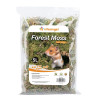 Forest Moss Hamster Bedding Chipmunk Dwarf Rat Small Animal Bedding Hamster Cage Landscaping Supplies Hamster Accessories