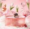 Transparent Hamster Bathroom Sandbox Dwarf Mouse Chipmunk Bathroom Rat Accessories Small Animal Cage Landscaping Supplies