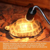 220V Habitat Light Lamp Basking Heat Bulb For Reptiles Turtle Heat Lamp Heat Bulb Lamp Clip on Bearded Dragon Reptile Bulb