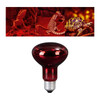 Pet Heat Lights Bulb Heater Source Heater E27 Holder Habitat Reptile Heating Lamp for Tortoise Chameleons Geckos Amphibian