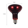 Pet Heat Lights Bulb Heater Source Heater E27 Holder Habitat Reptile Heating Lamp for Tortoise Chameleons Geckos Amphibian