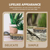 Animal Reptile Bowl Terrarium Food Basin Tortoise Water Dish Climbing Pet Container Accessories Crawling Drinking