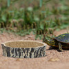 Animal Reptile Bowl Terrarium Food Basin Tortoise Water Dish Climbing Pet Container Accessories Crawling Drinking