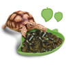 Leaf Shape Amphibians Reptiles Feeder Plastic Reptile Terrarium Feeding Basin Tortoise Lizard Crawler Bowl Basin Water Fountain