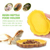 Bowl Dish Reptile Food Water Feeding Small Gecko Bowls Lizard Pet Tortoise Terrarium Feeder Animal Turtle Bearded Dragon Snake