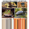 Reptile Bowl 2 Compartments Dark Green Reptile Water Dish Reptile Feeder Habitat Decor Terrarium Dish For Lizard Frog Gecko