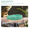 Luminous Water Bowl Reptile Terrariums Daily Use Dish Animal Plate Reusable Household Resin Cage Supply