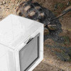 Box Habitat Tarantula Cage Enclosure Reptile Spider Feeding Terrarium Breeding Snake Tank Container Cricket Bowl House Crab