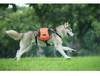 [TAILUP] Dog Harness K9 for Large Dogs Harness Pet Vest Outdoor Puppy Small Dog Leads Accessories Carrier Backpack py0025