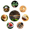 Heating Warm Pad Adjustable Temperature Controller Incubator Mat Tools Terrarium Reptiles Heat Mat Climbing Pet Warming Supplies