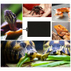 Reptile Heating Mat Terrarium Heating Mat Warmer Heating Pad For Pet Turtles Snake Lizard Hamster