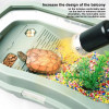 Turtle Tank Baby Turtle Habitat with Lid Widen Double Layer Anti-Slip Detachable Pet Tortoise Habitat for Crayfish Small Reptile