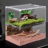 Acrylic Reptile Breeding Box Spider Lizard Amphibian Terrarium Pet Habitat Arboreal Tarantula Enclosure For Home Rearing