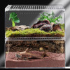 Acrylic Reptile Breeding Box Spider Lizard Amphibian Terrarium Pet Habitat Arboreal Tarantula Enclosure For Home Rearing