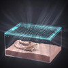 Acrylic Reptile Breeding Box Spider Lizard Amphibian Terrarium Pet Habitat Arboreal Tarantula Enclosure For Home Rearing