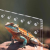 Acrylic Reptile Breeding Box Spider Lizard Amphibian Terrarium Pet Habitat Arboreal Tarantula Enclosure For Home Rearing